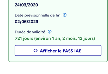 Capture d'écran de la durée de validité d'un PASS IAE fictif