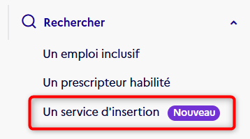 Une entrée "Un service d'insertion" a été rajoutée dans l'onglet "Rechercher" du menu latéral