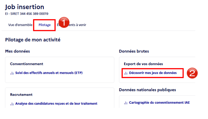 Capture d'écran de l'onglet Pilotage montrant l'accès aux jeux de données disponibles au téléchargement